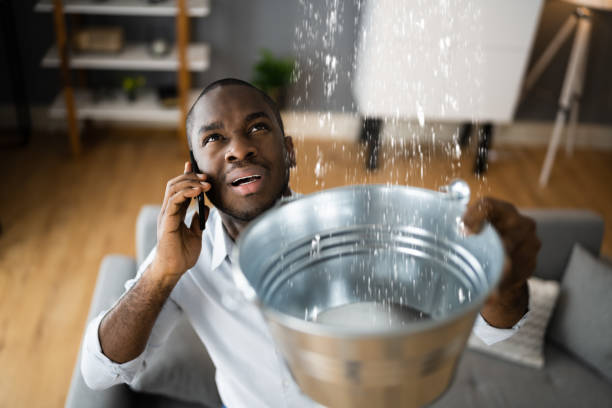  Brentwood, CA Water damage restoration Pros