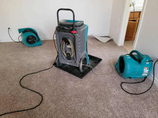 Best Basement water damage restoration  in Brentwood, CA