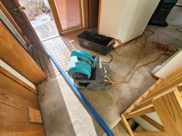Best Flooded house restoration  in Brentwood, CA