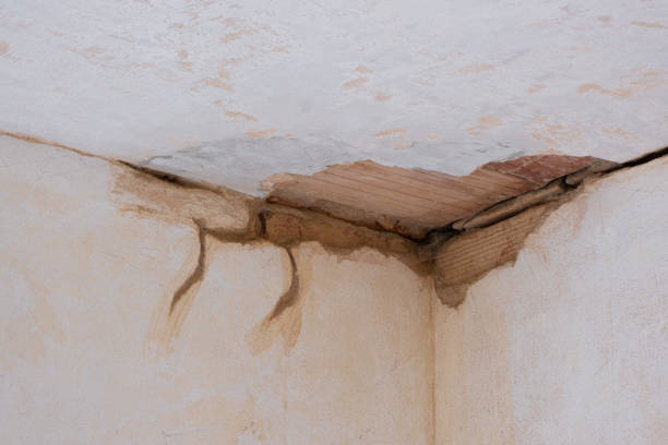 Best Water damage restoration near me  in Brentwood, CA