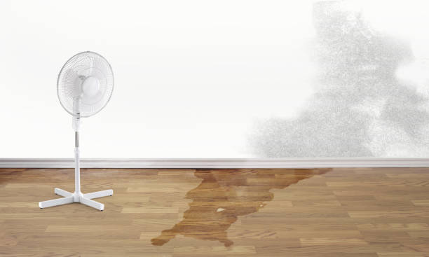 Best Water damage restoration company  in Brentwood, CA