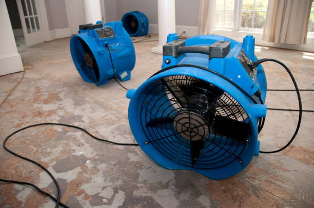 Best Water damage restoration near me  in Brentwood, CA