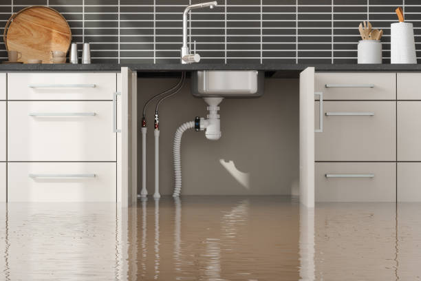 Best Water damage contractors near me  in Brentwood, CA