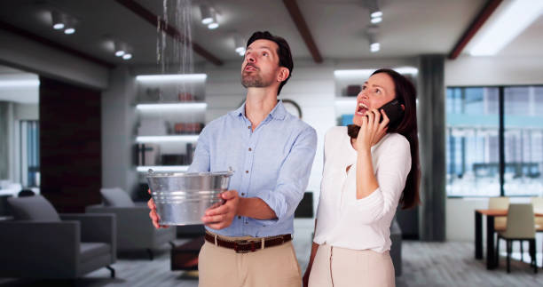 Best Local water damage restoration  in Brentwood, CA