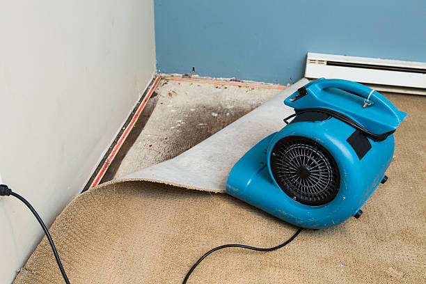 Best Commercial water damage restoration  in Brentwood, CA